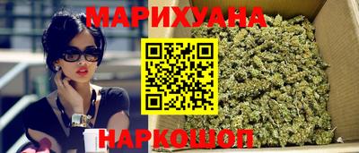 гидра Рязань