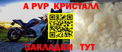 гидра Рязань
