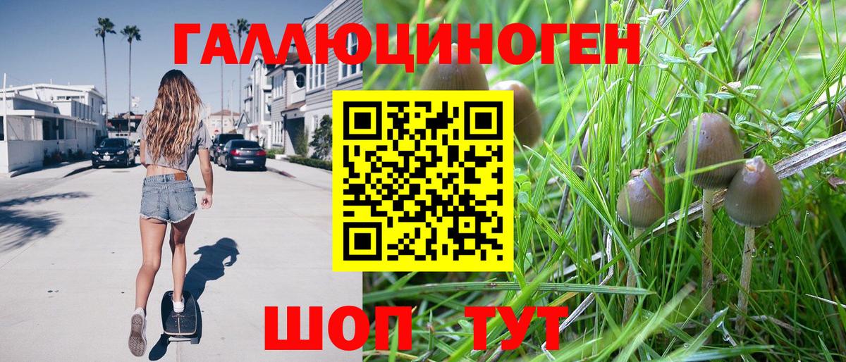 Псилоцибиновые грибы ЛСД Обь